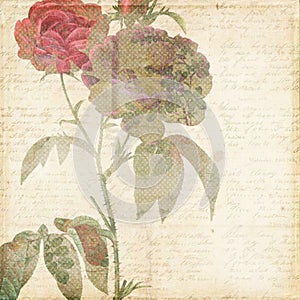 Vintage Shabby Chic background with flowers