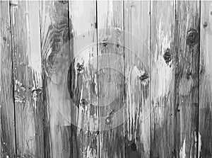 Vintage. Shabby Wood Background. Grey wood wall of vertical boards. Close-up texture, copy space