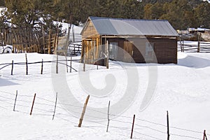 Vintage shed in the snow