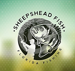 Vintage sheepshead fish emblems. and labels. Vector illustration.