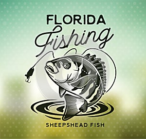 Vintage sheepshead fish emblems. and labels. Vector illustration