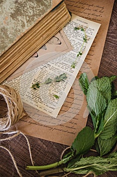 Vintage sheets and paper with herbals