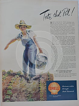 Vintage Shell Oil Company Advertisement