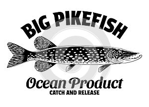 Vintage Shirt Design of Big Pike Fish