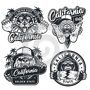Vintage skateboarding emblems set