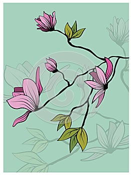 Vintage sketch closeup of pink magnolia branch with leaves on green background for decorative design. Vector romantic