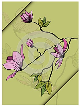 Vintage sketch closeup of pink magnolia branch with leaves on green background for decorative design. Vector romantic