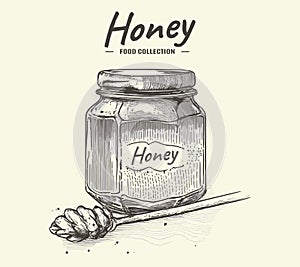 Vintage Sketch Engraved Honey Illustration in Jar. Detailed hand drawn vector of food collection