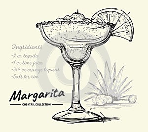 Vintage Sketch Engraved Margarita Illustration. Detailed hand drawn vector of cocktail collection
