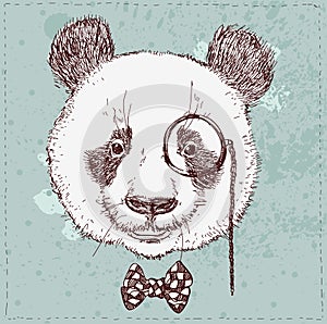 Vintage sketch illustration of panda bear