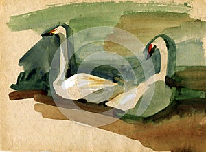 Vintage sketch of a swans