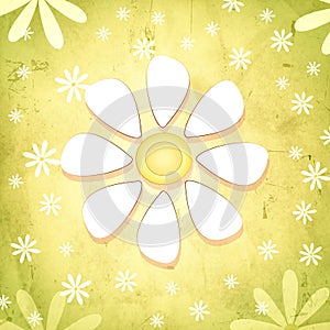 Spring white flower over vintage green background with daisy flo