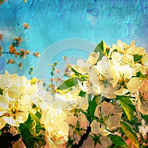 Vintage spring textured background