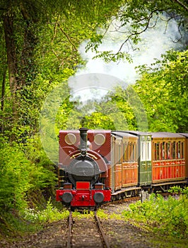 Vintage steam train