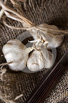 Vintage still life with garlic and knife on canvas