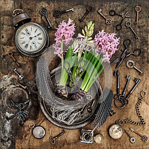 Vintage still life hyacinth flowers Old keys clock scissors