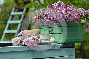 Vintage still life with old cup of tea and lilac flowers bouquet in the garden.