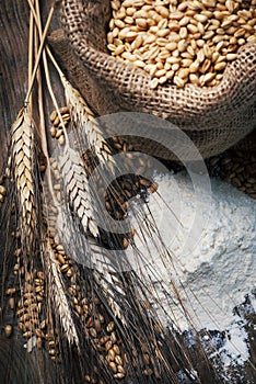 Vintage still life with organic flour, whole wheat grain in retro bag and wheat ears on rustic wooden table.