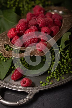 Vintage still life with raspberries and unripe elderberries