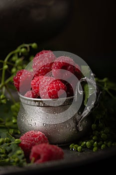 Vintage still life with raspberries and unripe elderberries