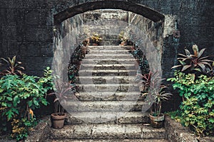 Vintage stone stairs surrounded by potted flowers.