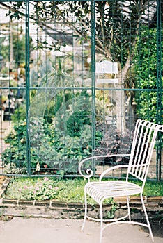 Vintage stool with nature