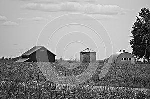 Vintage Storage Buildings in the Summer