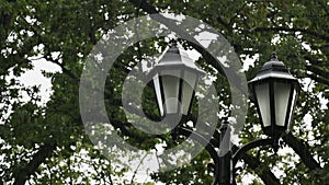 Vintage street lamp in the park under the summer warm rain. A lantern under rain