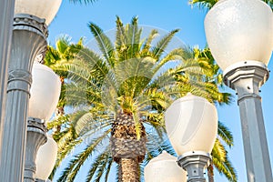 Vintage Street Lamps at Urban Light, Los Angeles