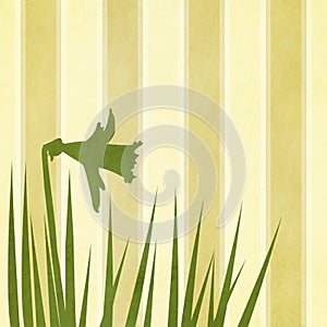 Vintage style card with silhouette of a daffodil and petals. The background are stripes in different shades of yellow. photo