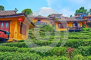 Vintage style Chinese houses in Ban Rak Thai Yunnan tea village, Thailand