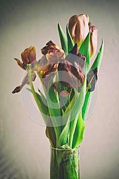 Vintage style faded bunch tulips flowers