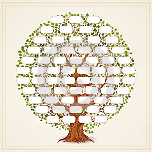 Vintage style family tree template for retro design. Genealogy and pedigree. Vector