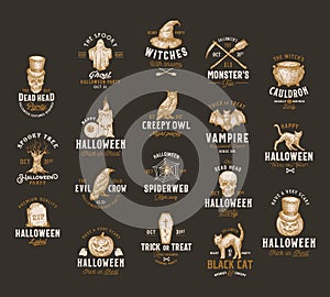 Vintage Style Halloween Logos or Labels Template Big Set. Hand Drawn Vampire Bat, Scull, Tomb, Cat, Hat, Owl, Pumpkin