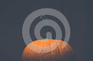 Vintage style image of a pumpkin with dark wood background