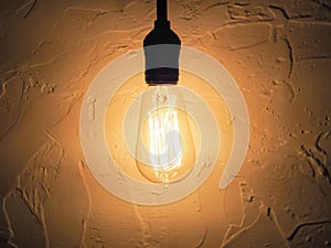 Vintage style Light Blub