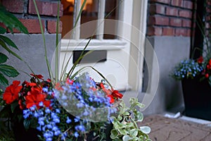 Front door with mail slot old fashioned wood door with welcome mat and beautiful flowers in pot