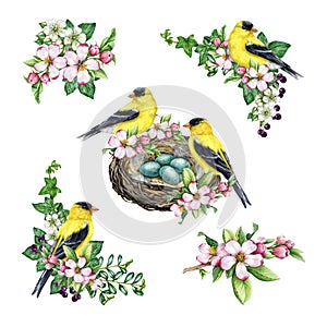 Vintage style springtime decor set with birds and flowers. Watercolor illustration. Hand drawn goldfinch bird, nest