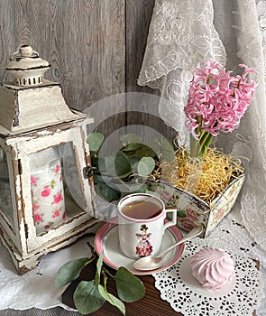 Vintage style still life with hyacinth