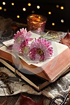 Vintage style still life with opened book and flowers