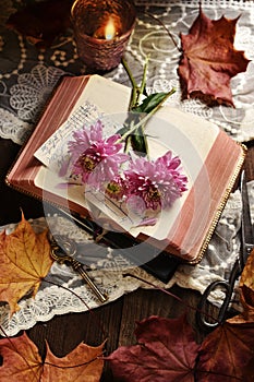 Vintage style still life with opened book and flowers