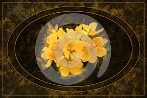 Vintage Style Yellow Apricot Blossom Flowers Background Oval