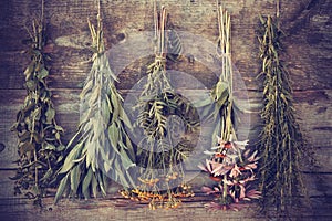 Vintage stylized photo of bunches of healing herbs photo