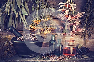 Vintage stylized photo of healing herbs bunches and mortar