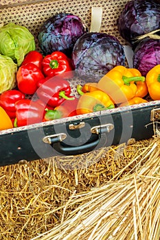 Vintage suitcase with fresh organic vegetables
