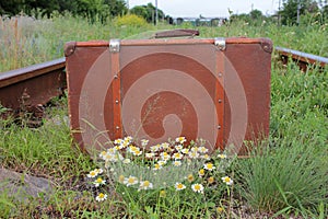 Vintage suitcase on the old rusty railroad tracks overgrown with grass and flowers