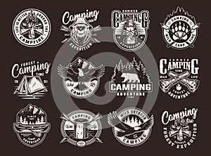 Vintage summer camping logos