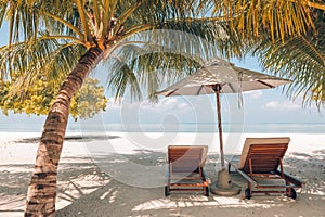 Vintage Summer couple destination scenic beach beds chairs umbrella palms. Love romantic travel landscape