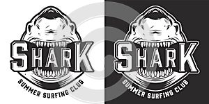 Vintage summer surfing club logo