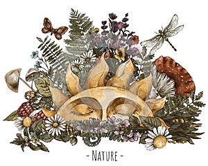 Vintage sun illustration with woodland treasures, Amanita mushroom, fern, forest plants baner